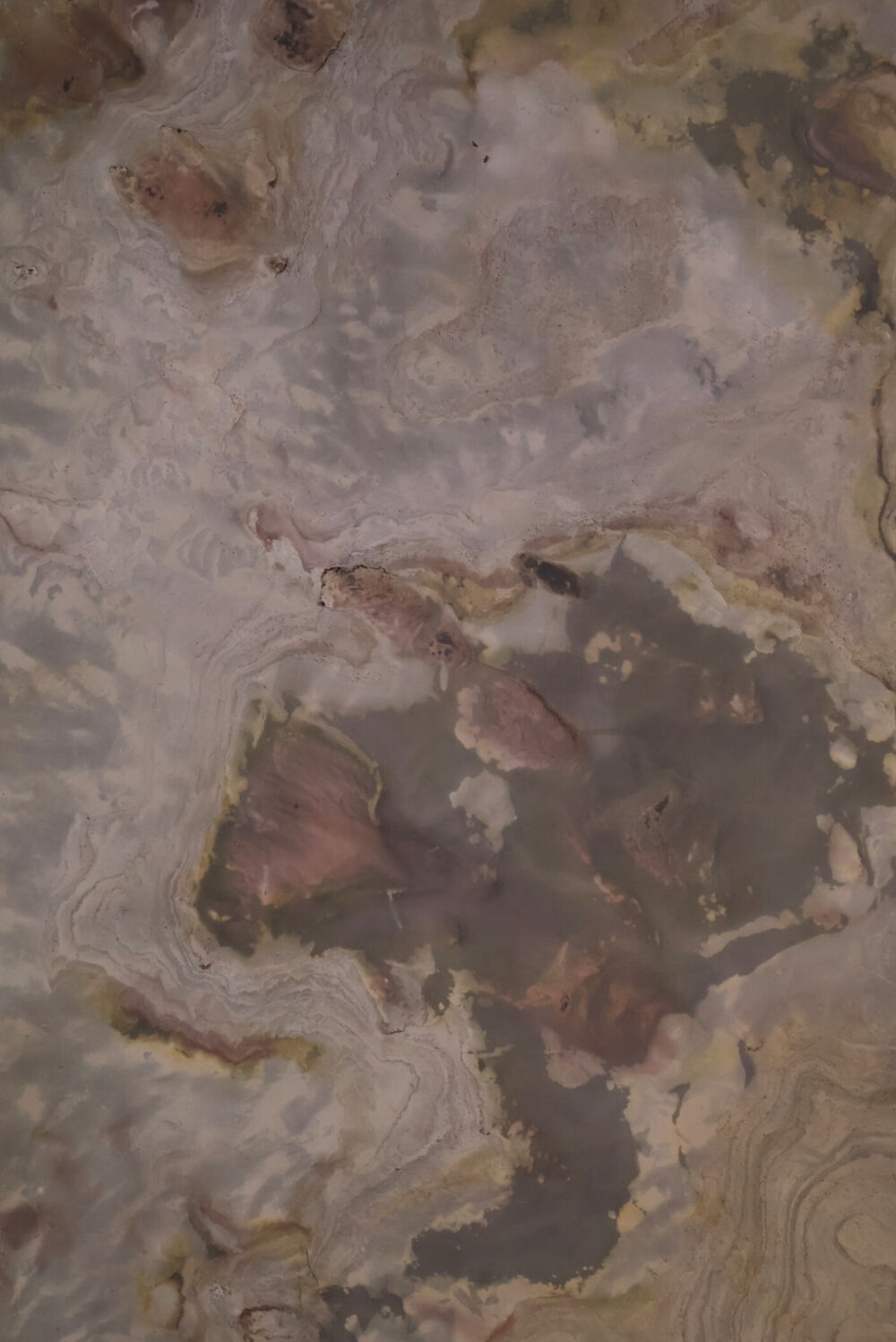 Celestial Ash - Image 4