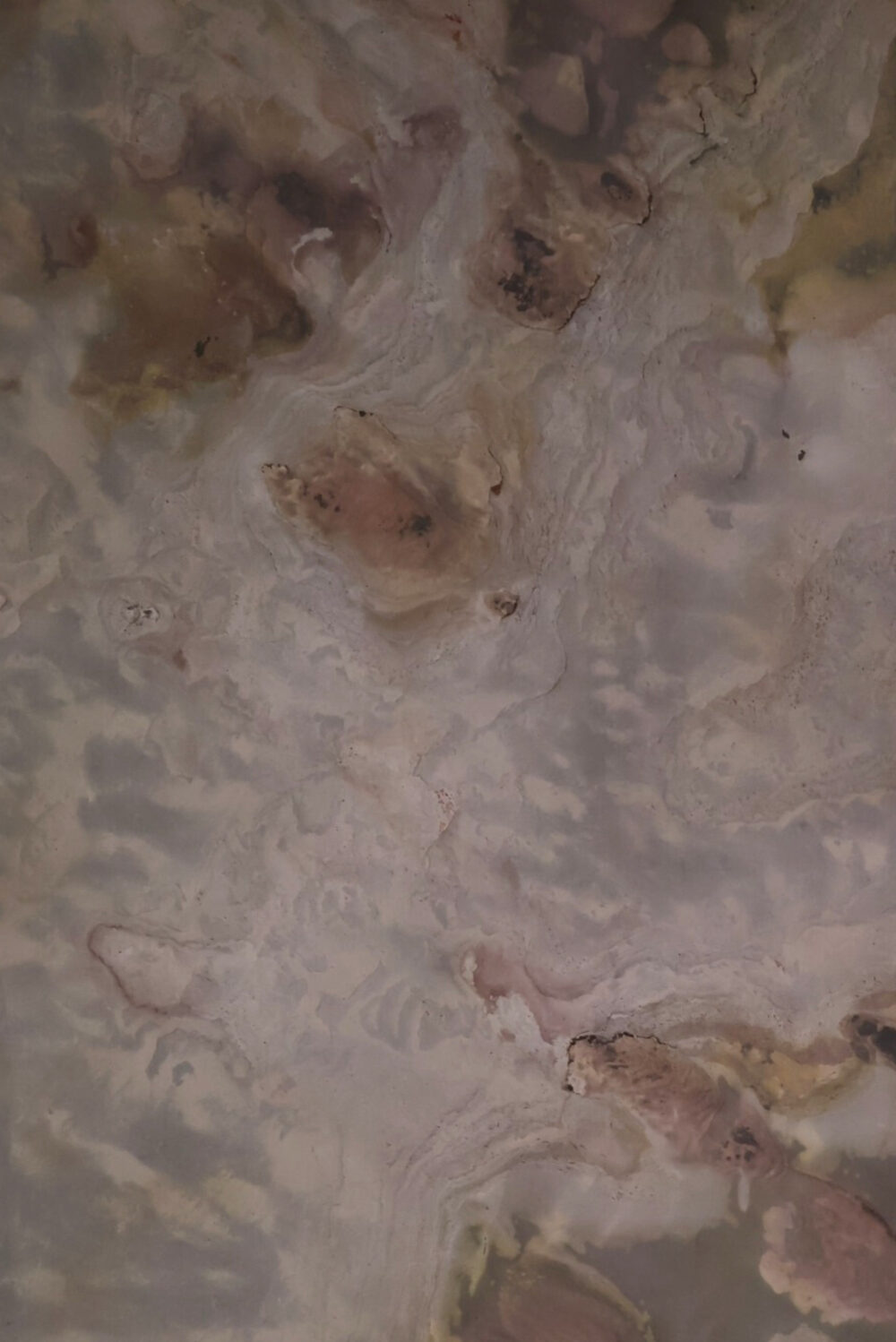 Celestial Ash - Image 5