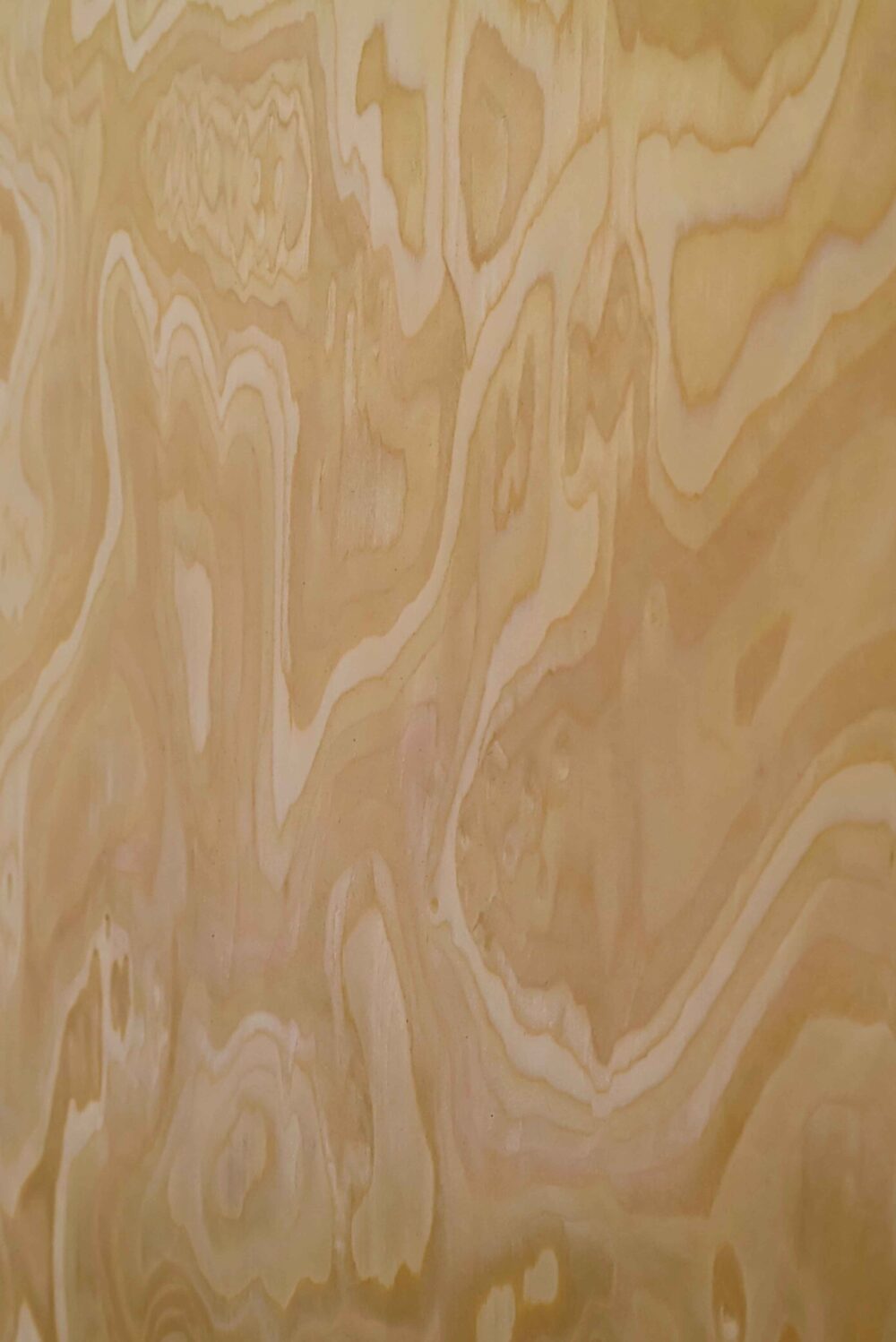 Honey Maple - Image 3