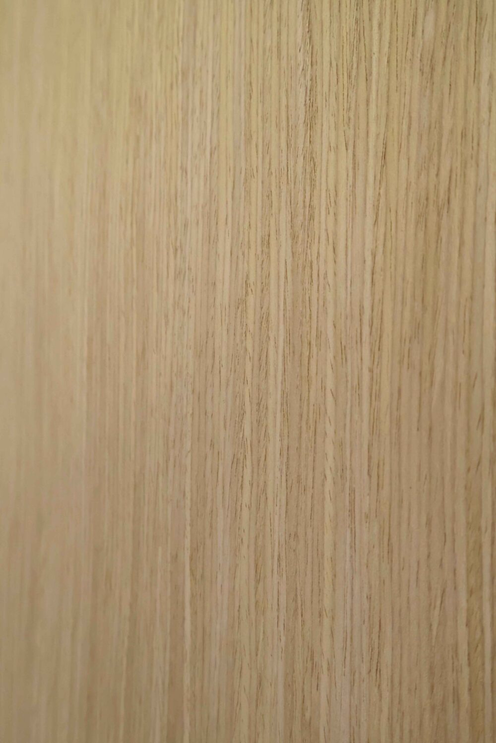 Boston Oak - Image 2