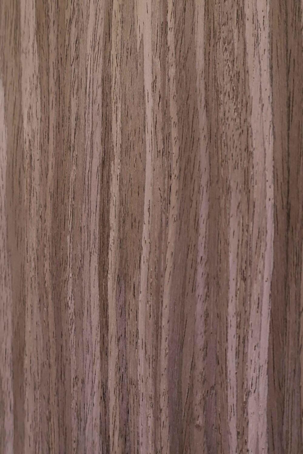 Spanish Oak - Image 2