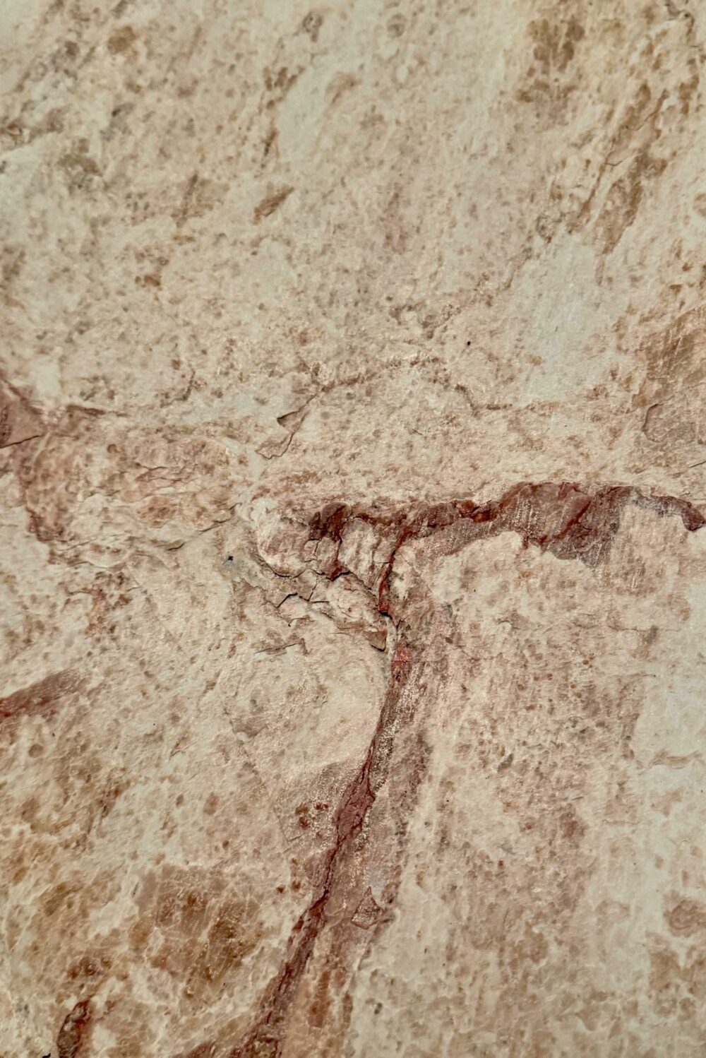 Dirty Pearl - Image 4